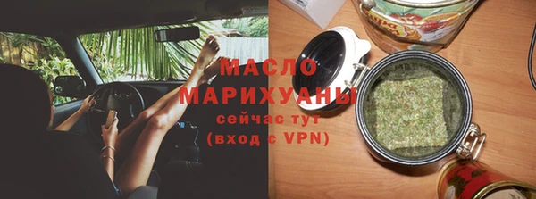 индика Беломорск