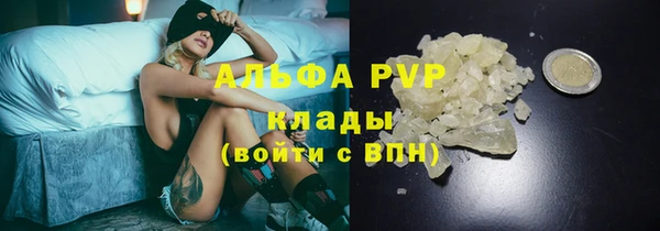 индика Беломорск