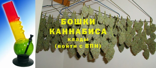 индика Беломорск