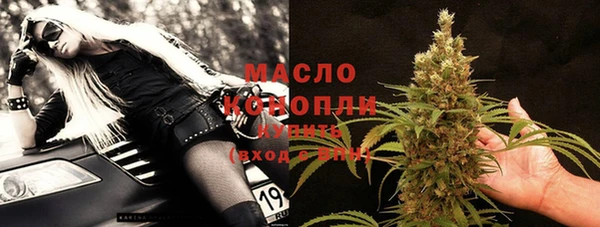 индика Беломорск