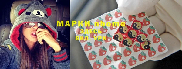 индика Беломорск