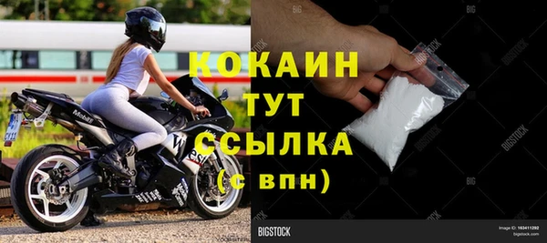 индика Беломорск