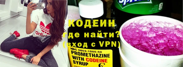 индика Беломорск