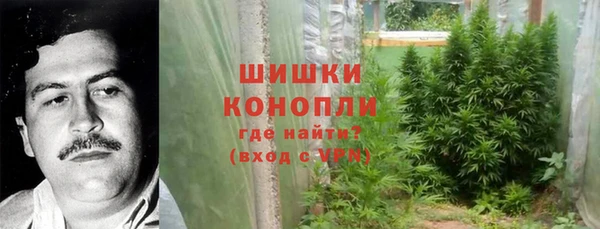 тгк Белокуриха